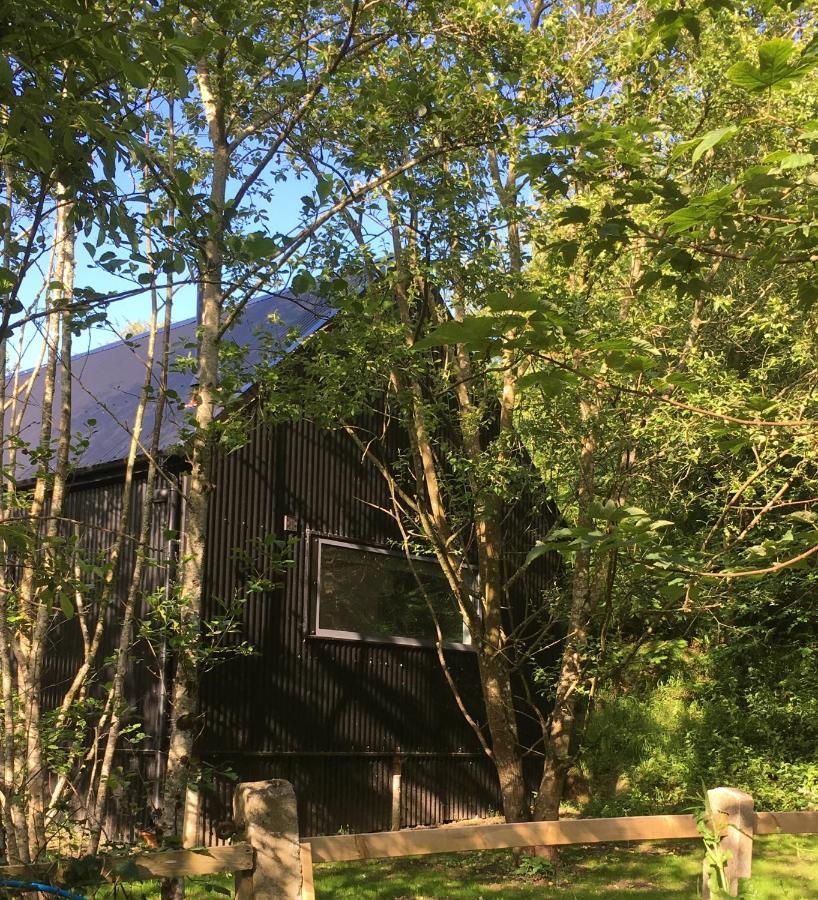 Alder Cabin Kilkenny Dış mekan fotoğraf