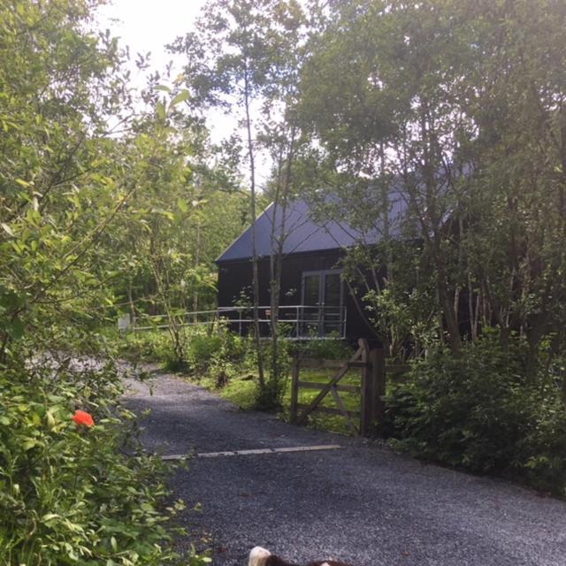 Alder Cabin Kilkenny Dış mekan fotoğraf